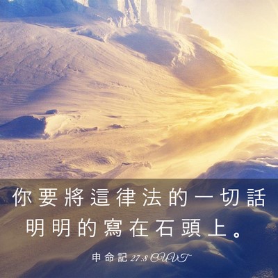 Picture 03 - 申 命 記 27:8 CUVT - 你 要 將 這 律 法 的 一 切 話 明 明 - Bible Verse Picture