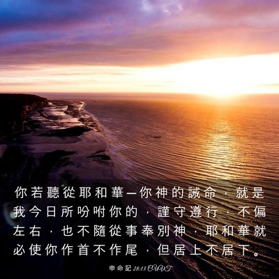 Picture 03 - 申 命 記 28:13 CUVT - 你 若 聽 從 耶 和 華 ─ 你 神 的 誡 - Bible Verse Picture