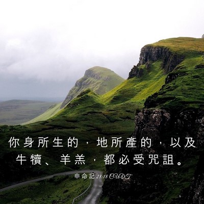 Picture 03 - 申 命 記 28:18 CUVT - 你 身 所 生 的 ， 地 所 產 的 ， 以 - Bible Verse Picture