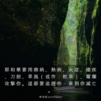 Picture 03 - 申 命 記 28:22 CUVT - 耶 和 華 要 用 癆 病 、 熱 病 、 火 - Bible Verse Picture