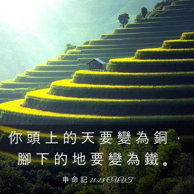 Picture 03 - 申 命 記 28:23 CUVT - 你 頭 上 的 天 要 變 為 銅 ， 腳 下 - Bible Verse Picture