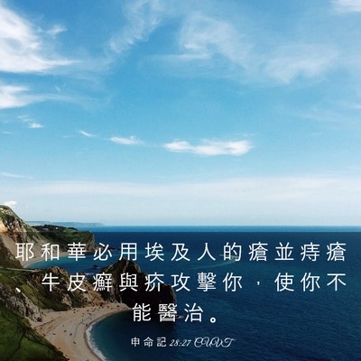 Picture 03 - 申 命 記 28:27 CUVT - 耶 和 華 必 用 埃 及 人 的 瘡 並 痔 - Bible Verse Picture