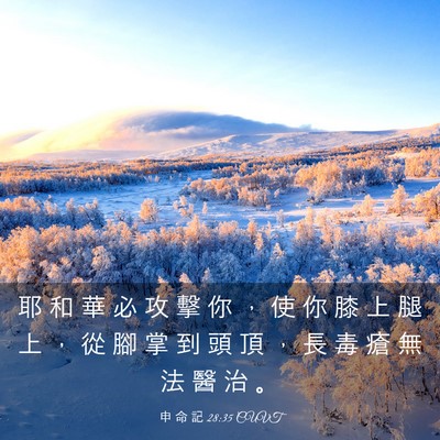 Picture 03 - 申 命 記 28:35 CUVT - 耶 和 華 必 攻 擊 你 ， 使 你 膝 上 - Bible Verse Picture