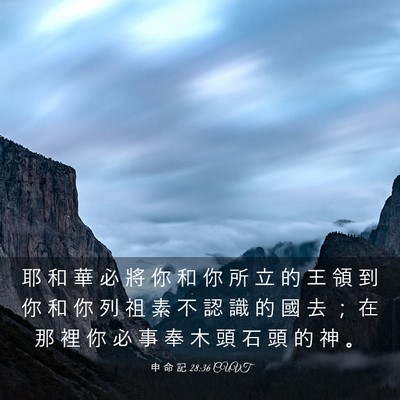 Picture 03 - 申 命 記 28:36 CUVT - 耶 和 華 必 將 你 和 你 所 立 的 王 - Bible Verse Picture