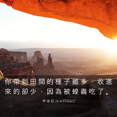 Picture 03 - 申 命 記 28:38 CUVT - 你 帶 到 田 間 的 種 子 雖 多 ， 收 - Bible Verse Picture