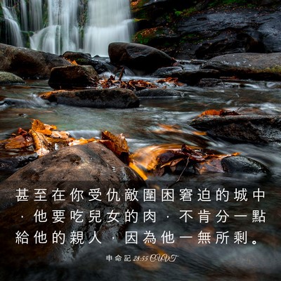 Picture 03 - 申 命 記 28:55 CUVT - 甚 至 在 你 受 仇 敵 圍 困 窘 迫 的 - Bible Verse Picture