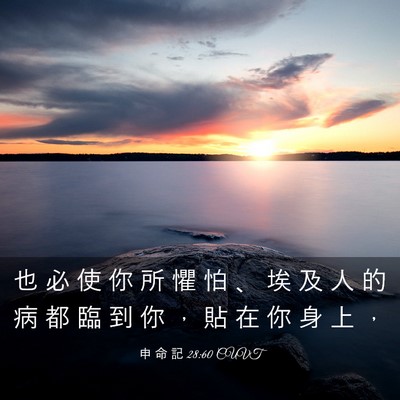 Picture 03 - 申 命 記 28:60 CUVT - 也 必 使 你 所 懼 怕 、 埃 及 人 的 - Bible Verse Picture