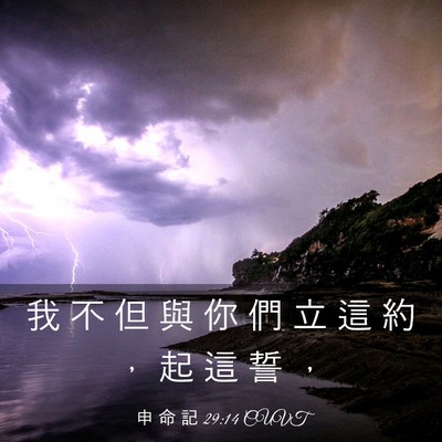 Picture 03 - 申 命 記 29:14 CUVT - 我 不 但 與 你 們 立 這 約 ， 起 這 - Bible Verse Picture