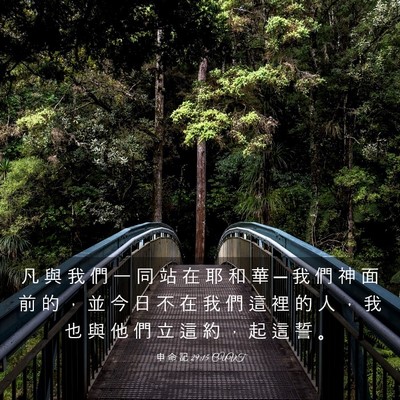 Picture 03 - 申 命 記 29:15 CUVT - 凡 與 我 們 一 同 站 在 耶 和 華 ─ - Bible Verse Picture