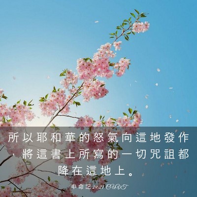Picture 03 - 申 命 記 29:27 CUVT - 所 以 耶 和 華 的 怒 氣 向 這 地 發 - Bible Verse Picture