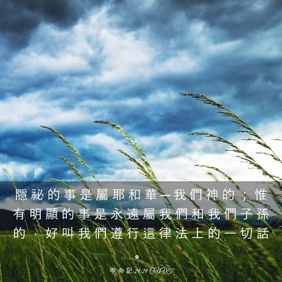 Picture 03 - 申 命 記 29:29 CUVT - 隱 祕 的 事 是 屬 耶 和 華 ─ 我 們 - Bible Verse Picture