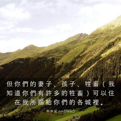 Picture 03 - 申 命 記 3:19 CUVT - 但 你 們 的 妻 子 、 孩 子 、 牲 畜 - Bible Verse Picture