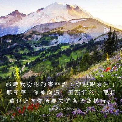 Picture 03 - 申 命 記 3:21 CUVT - 那 時 我 吩 咐 約 書 亞 說 ： 你 親 - Bible Verse Picture