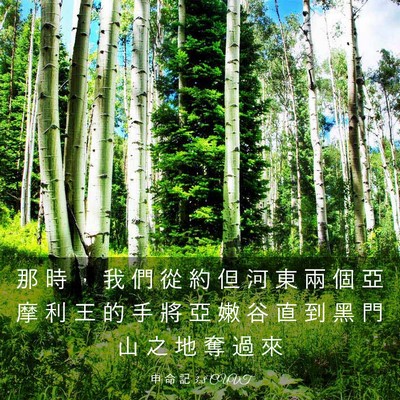 Picture 03 - 申 命 記 3:8 CUVT - 那 時 ， 我 們 從 約 但 河 東 兩 個 - Bible Verse Picture