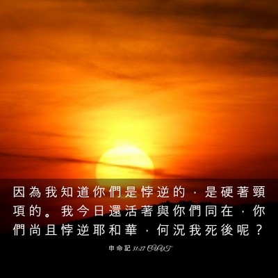 Picture 03 - 申 命 記 31:27 CUVT - 因 為 我 知 道 你 們 是 悖 逆 的 ， - Bible Verse Picture