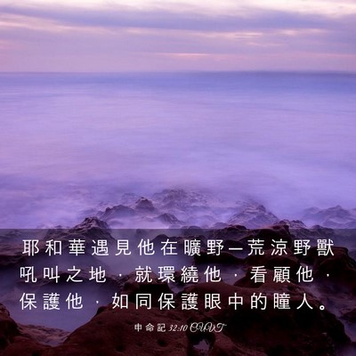 Picture 03 - 申 命 記 32:10 CUVT - 耶 和 華 遇 見 他 在 曠 野 ─ 荒 涼 - Bible Verse Picture