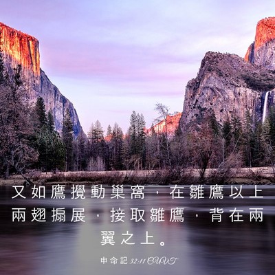 Picture 03 - 申 命 記 32:11 CUVT - 又 如 鷹 攪 動 巢 窩 ， 在 雛 鷹 以 - Bible Verse Picture