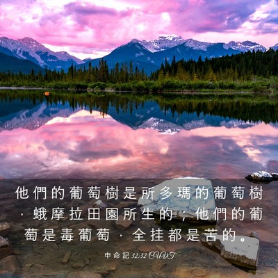 Picture 03 - 申 命 記 32:32 CUVT - 他 們 的 葡 萄 樹 是 所 多 瑪 的 葡 - Bible Verse Picture