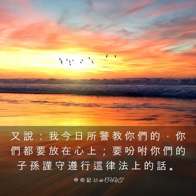 Picture 03 - 申 命 記 32:46 CUVT - 又 說 ： 我 今 日 所 警 教 你 們 的 - Bible Verse Picture