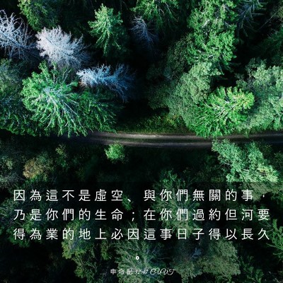 Picture 03 - 申 命 記 32:47 CUVT - 因 為 這 不 是 虛 空 、 與 你 們 無 - Bible Verse Picture