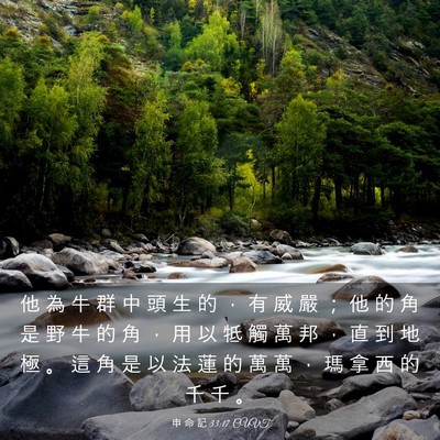 Picture 03 - 申 命 記 33:17 CUVT - 他 為 牛 群 中 頭 生 的 ， 有 威 嚴 - Bible Verse Picture