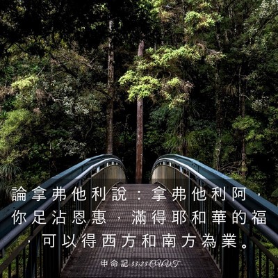 Picture 03 - 申 命 記 33:23 CUVT - 論 拿 弗 他 利 說 ： 拿 弗 他 利 阿 - Bible Verse Picture
