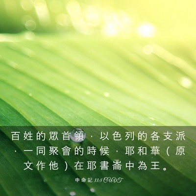 Picture 03 - 申 命 記 33:5 CUVT - 百 姓 的 眾 首 領 ， 以 色 列 的 各 - Bible Verse Picture