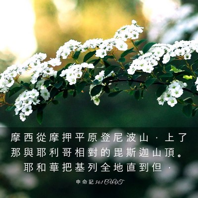 Picture 03 - 申 命 記 34:1 CUVT - 摩 西 從 摩 押 平 原 登 尼 波 山 ， - Bible Verse Picture