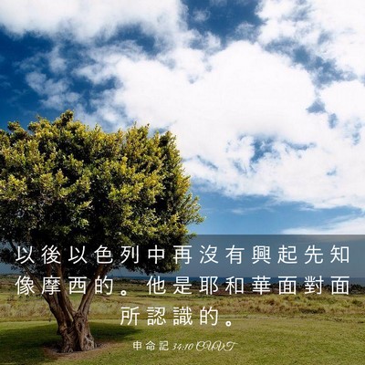 Picture 03 - 申 命 記 34:10 CUVT - 以 後 以 色 列 中 再 沒 有 興 起 先 - Bible Verse Picture