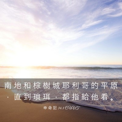 Picture 03 - 申 命 記 34:3 CUVT - 南 地 和 棕 樹 城 耶 利 哥 的 平 原 - Bible Verse Picture