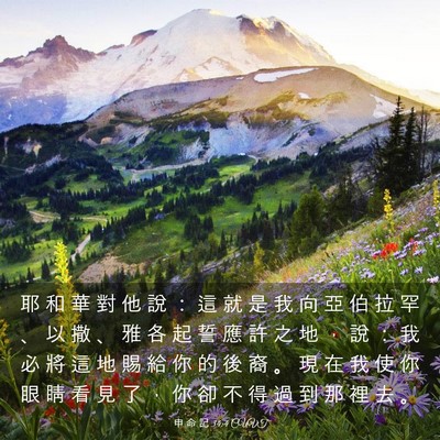 Picture 03 - 申 命 記 34:4 CUVT - 耶 和 華 對 他 說 ： 這 就 是 我 向 - Bible Verse Picture