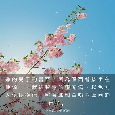 Picture 03 - 申 命 記 34:9 CUVT - 嫩 的 兒 子 約 書 亞 ； 因 為 摩 西 - Bible Verse Picture