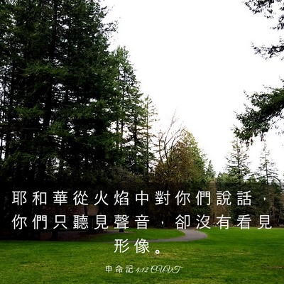 Picture 03 - 申 命 記 4:12 CUVT - 耶 和 華 從 火 焰 中 對 你 們 說 話 - Bible Verse Picture