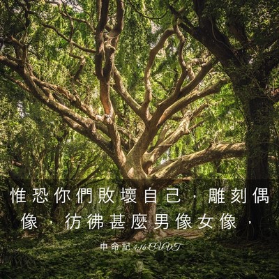 Picture 03 - 申 命 記 4:16 CUVT - 惟 恐 你 們 敗 壞 自 己 ， 雕 刻 偶 - Bible Verse Picture
