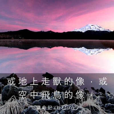 Picture 03 - 申 命 記 4:17 CUVT - 或 地 上 走 獸 的 像 ， 或 空 中 飛 - Bible Verse Picture