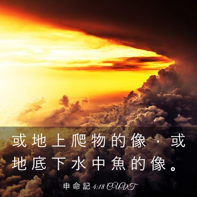 Picture 03 - 申 命 記 4:18 CUVT - 或 地 上 爬 物 的 像 ， 或 地 底 下 - Bible Verse Picture