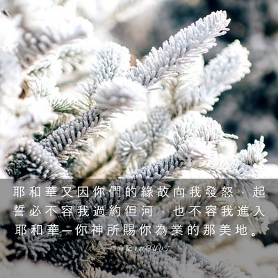 Picture 03 - 申 命 記 4:21 CUVT - 耶 和 華 又 因 你 們 的 緣 故 向 我 - Bible Verse Picture