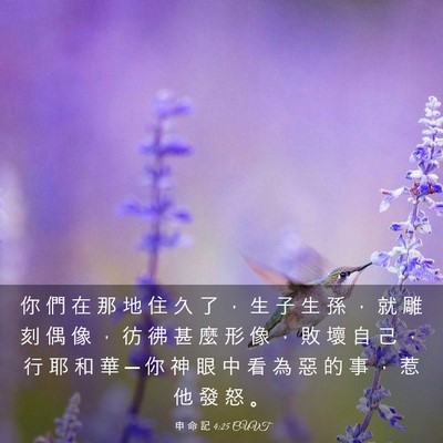 Picture 03 - 申 命 記 4:25 CUVT - 你 們 在 那 地 住 久 了 ， 生 子 生 - Bible Verse Picture