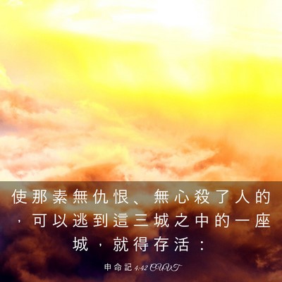 Picture 03 - 申 命 記 4:42 CUVT - 使 那 素 無 仇 恨 、 無 心 殺 了 人 - Bible Verse Picture