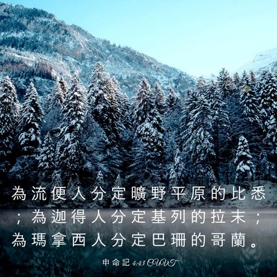 Picture 03 - 申 命 記 4:43 CUVT - 為 流 便 人 分 定 曠 野 平 原 的 比 - Bible Verse Picture
