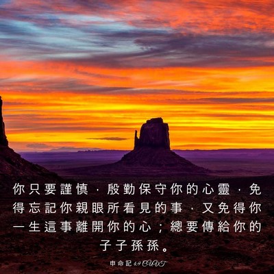 Picture 03 - 申 命 記 4:9 CUVT - 你 只 要 謹 慎 ， 殷 勤 保 守 你 的 - Bible Verse Picture