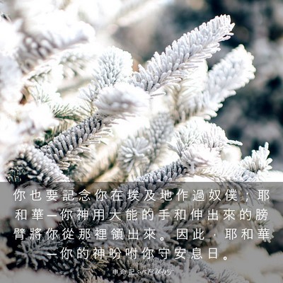 Picture 03 - 申 命 記 5:15 CUVT - 你 也 要 記 念 你 在 埃 及 地 作 過 - Bible Verse Picture