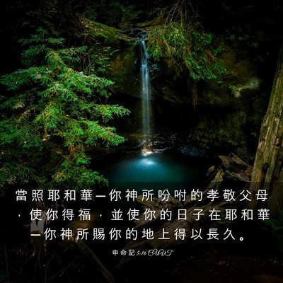 Picture 03 - 申 命 記 5:16 CUVT - 當 照 耶 和 華 ─ 你 神 所 吩 咐 的 - Bible Verse Picture