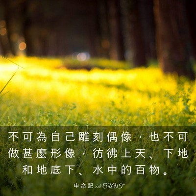 Picture 03 - 申 命 記 5:8 CUVT - 不 可 為 自 己 雕 刻 偶 像 ， 也 不 - Bible Verse Picture