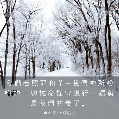 Picture 03 - 申 命 記 6:25 CUVT - 我 們 若 照 耶 和 華 ─ 我 們 神 所 - Bible Verse Picture