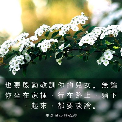 Picture 03 - 申 命 記 6:7 CUVT - 也 要 殷 勤 教 訓 你 的 兒 女 。 無 - Bible Verse Picture