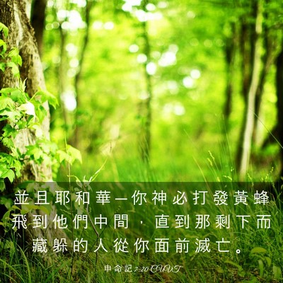 Picture 03 - 申 命 記 7:20 CUVT - 並 且 耶 和 華 ─ 你 神 必 打 發 黃 - Bible Verse Picture