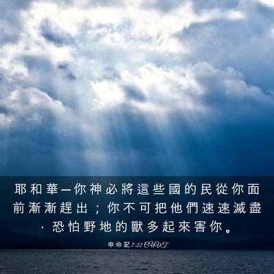 Picture 03 - 申 命 記 7:22 CUVT - 耶 和 華 ─ 你 神 必 將 這 些 國 的 - Bible Verse Picture