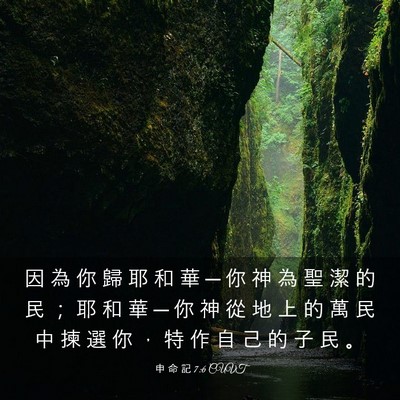 Picture 03 - 申 命 記 7:6 CUVT - 因 為 你 歸 耶 和 華 ─ 你 神 為 聖 - Bible Verse Picture