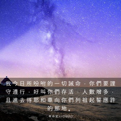 Picture 03 - 申 命 記 8:1 CUVT - 我 今 日 所 吩 咐 的 一 切 誡 命 ， - Bible Verse Picture